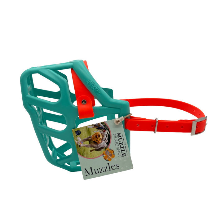 Taz - Teal with Orange biothane (Nickle)