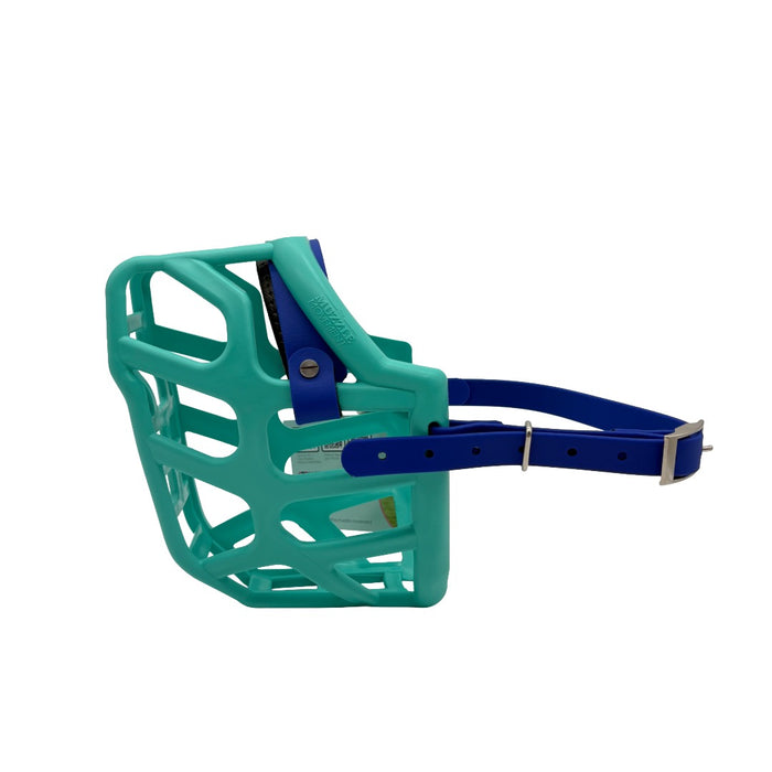 Taz - Teal with Dark Blue biothane & foam noseband (Nickle)