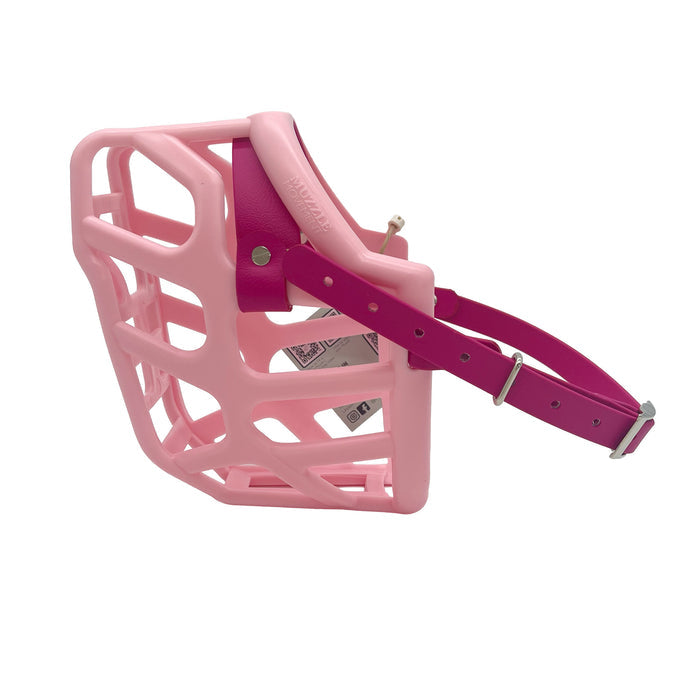 Taz - Pastel Pink with Magenta Pink Biothane (Chicago Screws & Nickle)