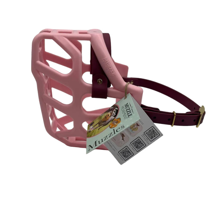 Taz - Pastel Pink with Wine biothane (Brass)