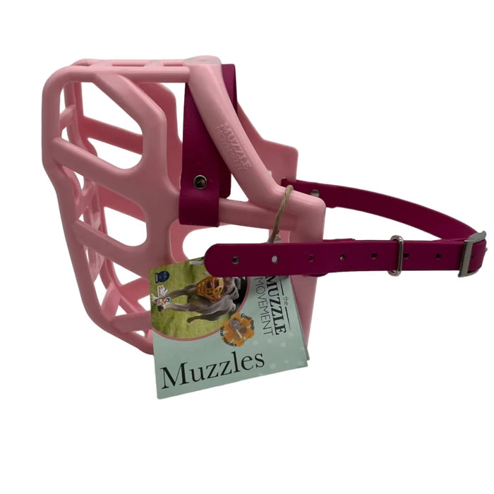Taz - Pastel Pink with Magenta Pink biothane (Nickle)