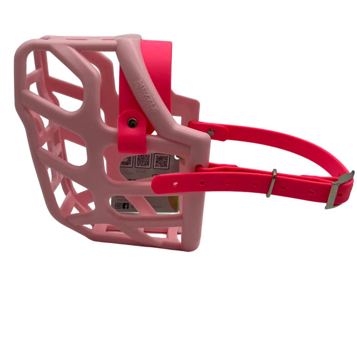 Taz* - Pastel Pink with Neon Pink biothane (Nickle)