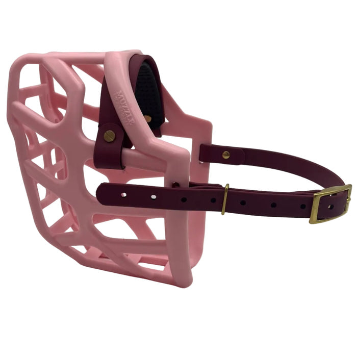 Taz - Pastel Pink with Wine biothane & foam noseband (Brass)