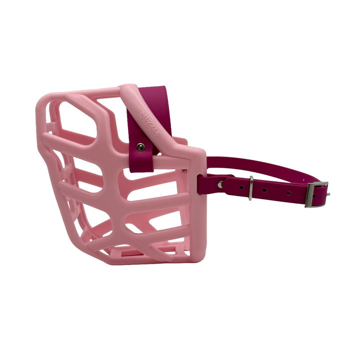 Taz* - Pastel Pink with Magenta Pink biothane (Nickle)