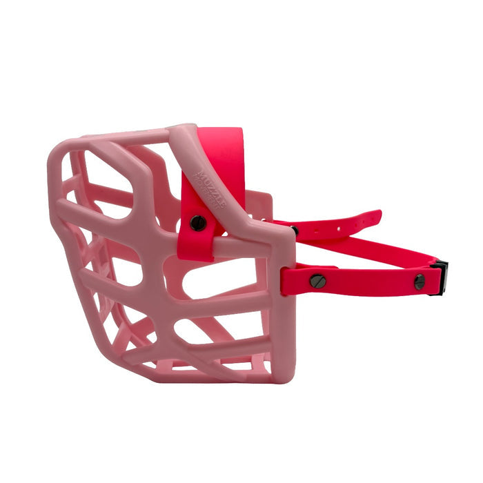 Taz* - Pastel Pink with Neon Pink biothane (Quick Release & Chicago Screws)