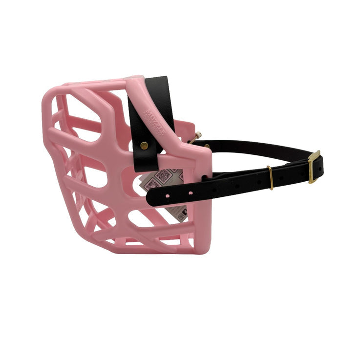 Taz* - Pastel Pink with Black biothane (Brass)