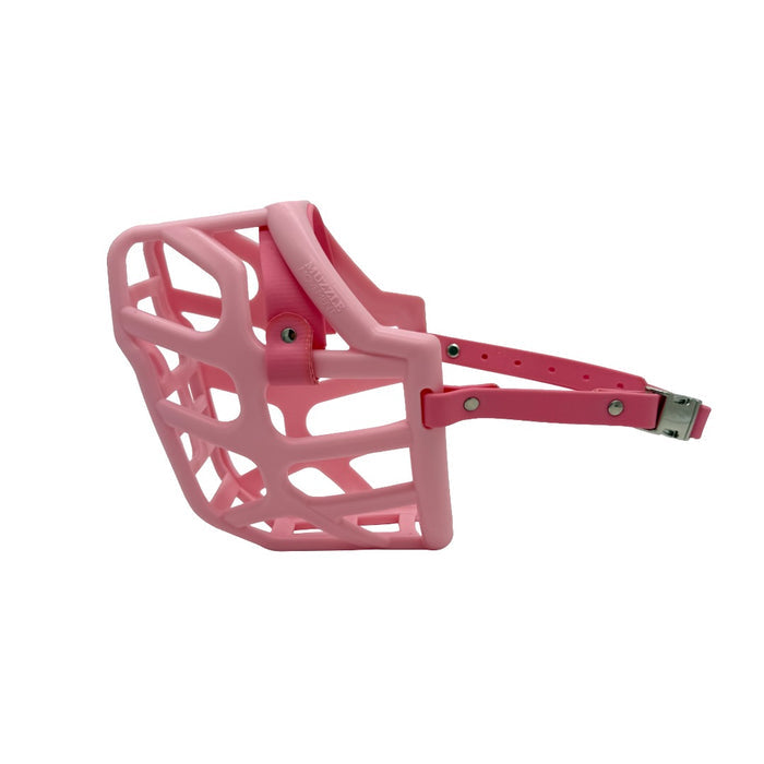 Taz - Pastel Pink with Pastel Pink biothane (Quick Release)