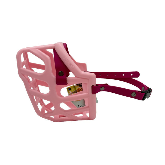 Taz - Pastel Pink with Magenta Pink biothane (Quick Release & Chicago Screws)