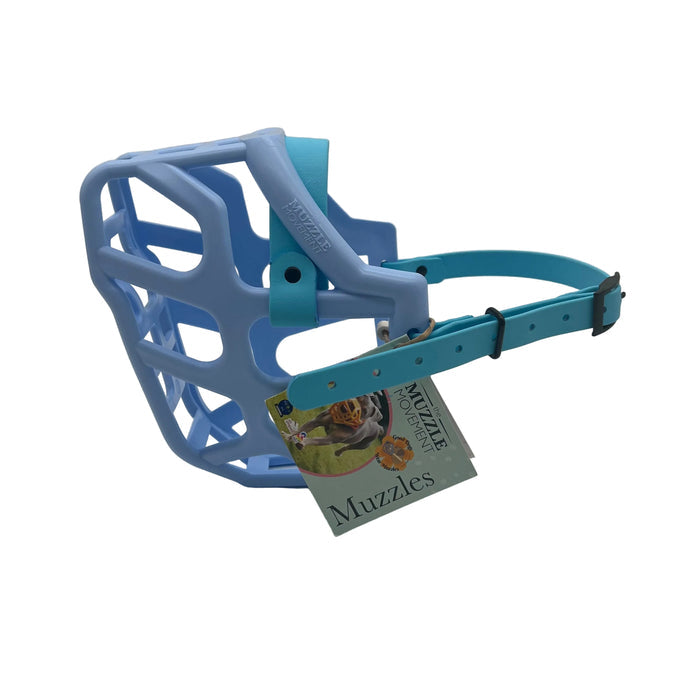 Taz - Baby Blue with Skyan Blue biothane (Black)