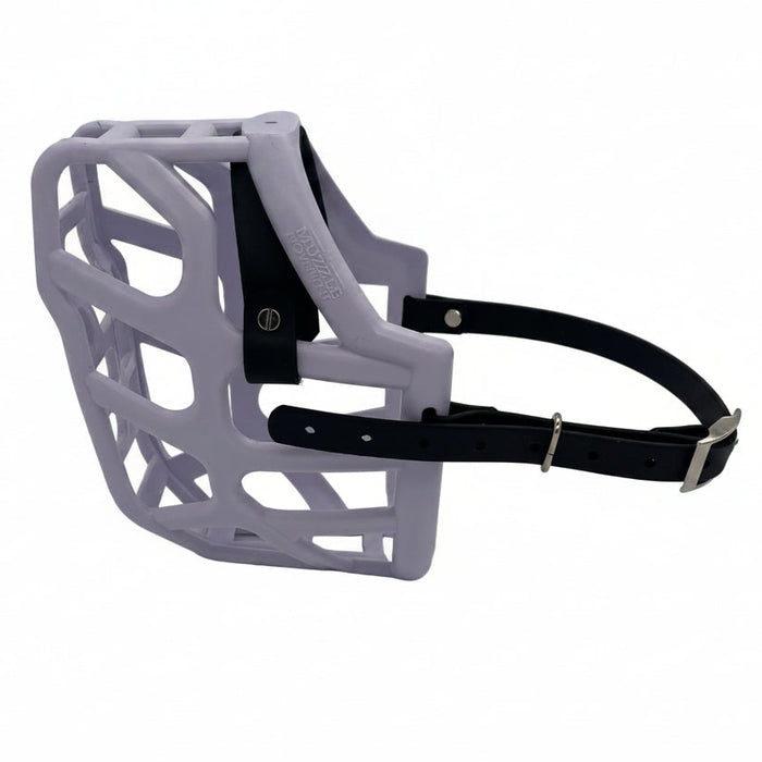 The Muzzle Movement Lilac Taz Dog Muzzle with black straps and nickle chicago screws on a white background