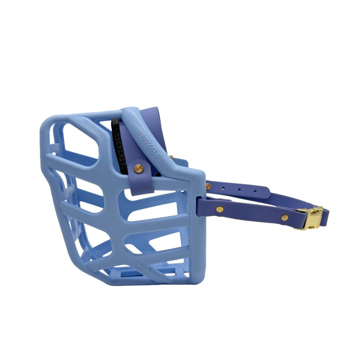 Taz* - Baby Blue with Periwinkle biothane & foam noseband (Quick Release)