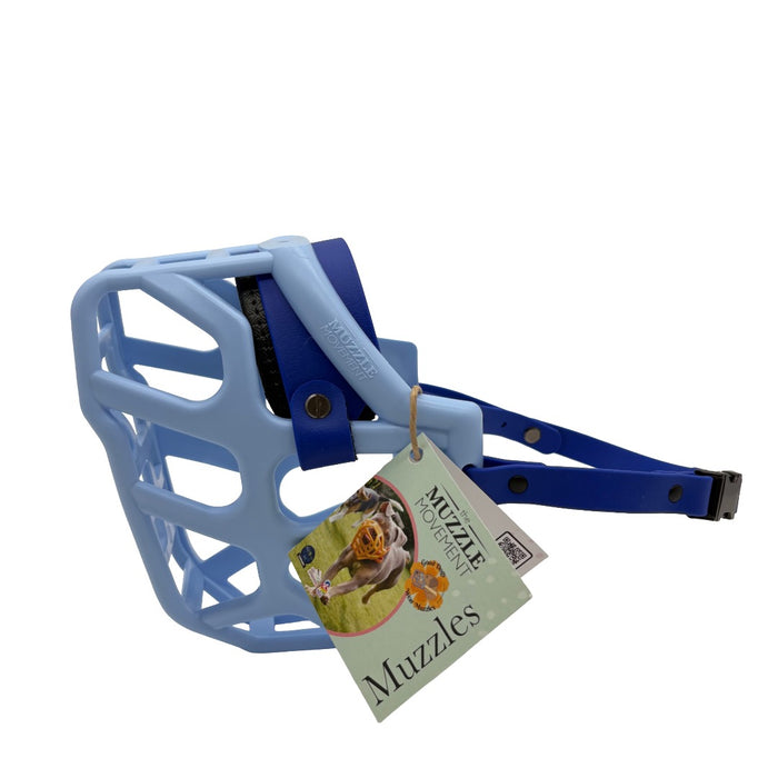 Taz* - Baby Blue with Dark Blue biothane & foam noseband (Quick Release)