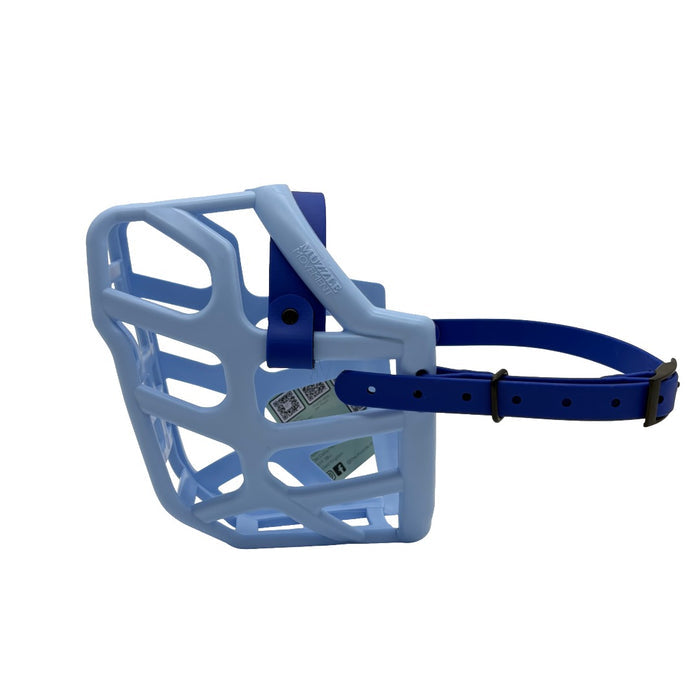 Taz - Baby Blue with Dark Blue biothane (Black)