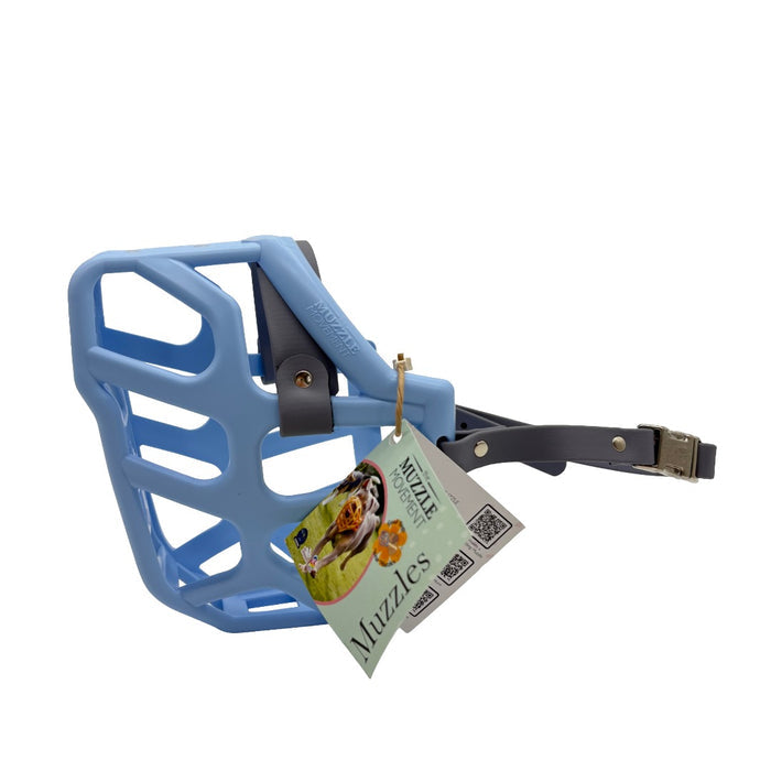 Taz - Baby Blue with Grey biothane (Quick Release)