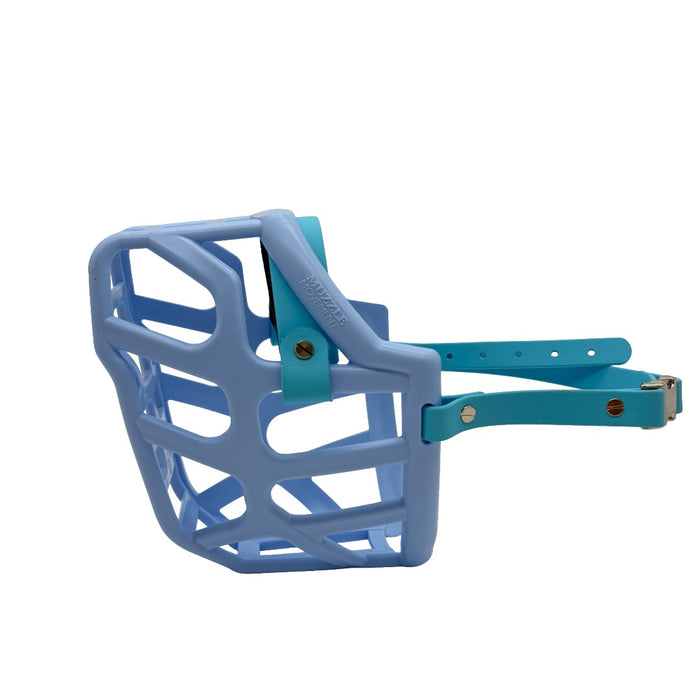 Taz - Baby Blue with Skyan Blue biothane & foam noseband (Quick Release & Chicago Screws)
