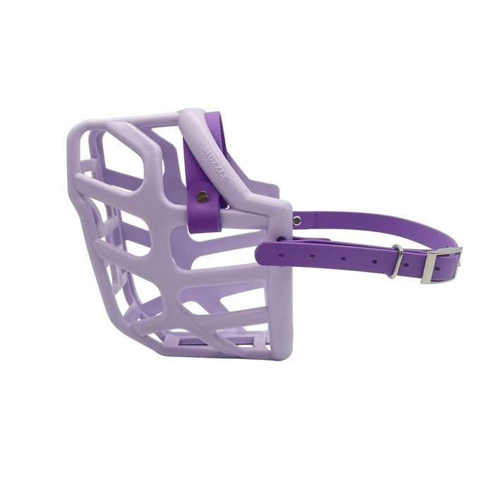 Taz - Lilac with Amethyst Purple Biothane (Chicago Screws & Nickle)