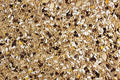 Small Hookbill Food