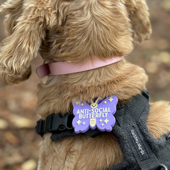 Snooties™ – Anti-Social Butterfly Muzzle Charm