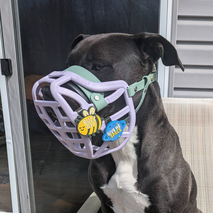 Snooties™ –  Buzz Off Snootie Muzzle Charm