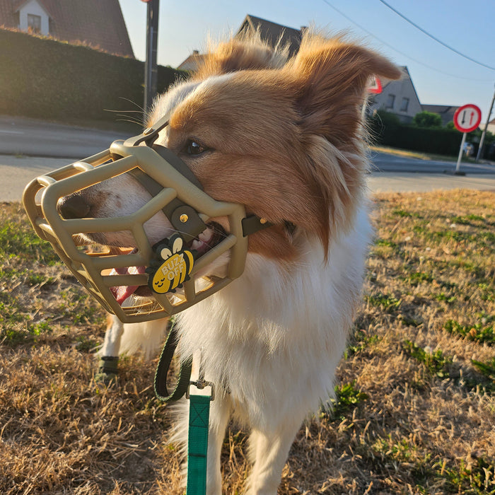 Snooties™ –  Buzz Off Snootie Muzzle Charm
