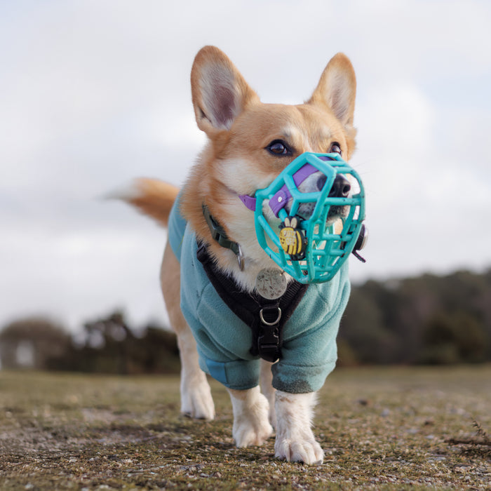 Snooties™ –  Buzz Off Snootie Muzzle Charm