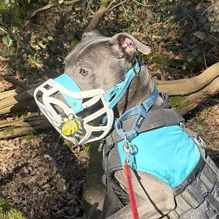 Snooties™ –  Buzz Off Snootie Muzzle Charm