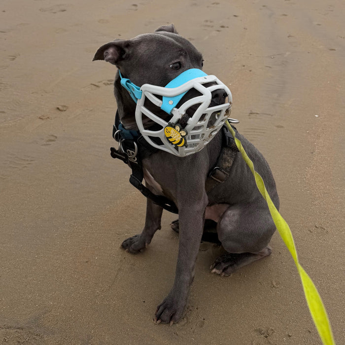 Snooties™ –  Buzz Off Snootie Muzzle Charm