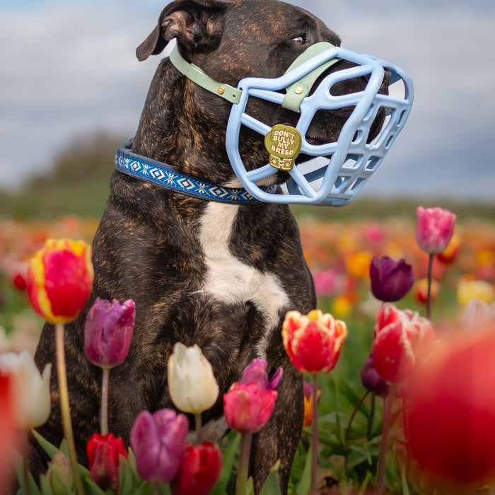 Snooties™ – Don’t Bully My Breed Snootie Muzzle Charm