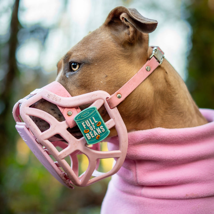 Snooties™ –   Full of Beans Snootie Muzzle Charm