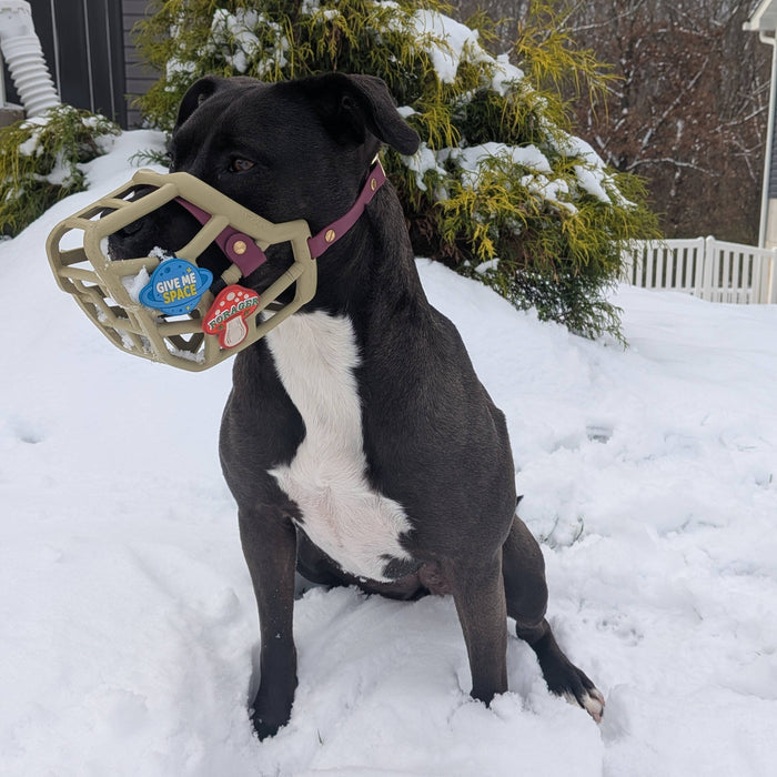 Snooties™ –  Give Me Space Blue Muzzle Charm