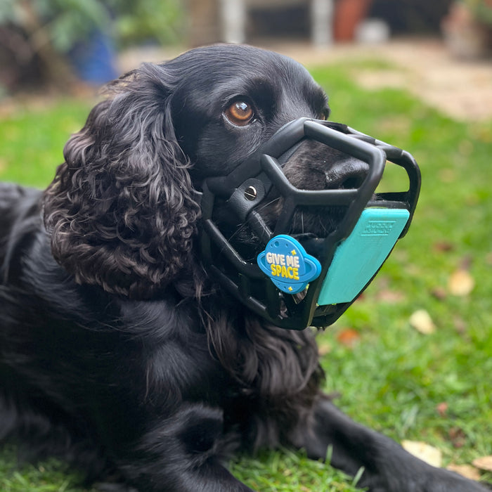 Snooties™ –  Give Me Space Blue Muzzle Charm