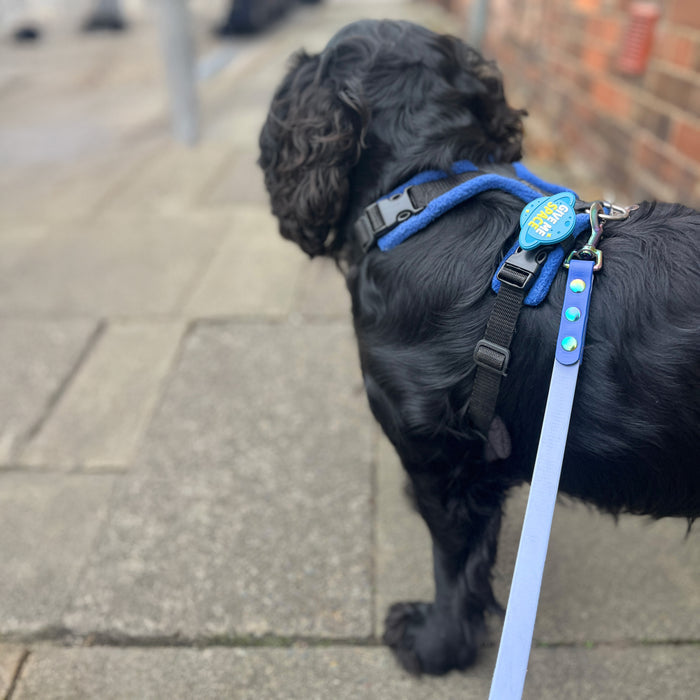 Snooties™ –  Give Me Space Blue Muzzle Charm
