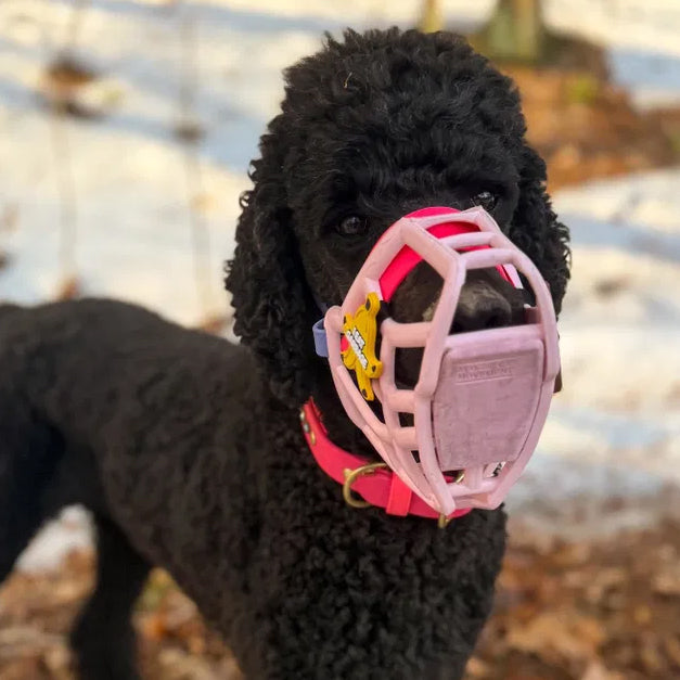 Snooties™ – I Eat Garbage Banana Muzzle Charm