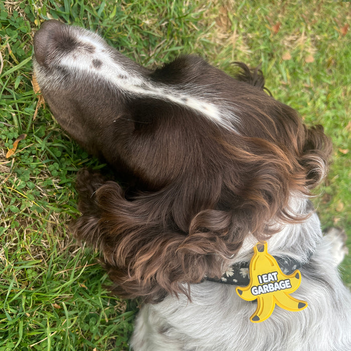 Snooties™ – I Eat Garbage Banana Muzzle Charm