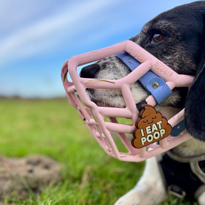 Snooties™ –    I Eat Poop Snootie Muzzle Charm