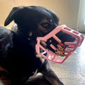 Snooties™ – Moody Cow Snootie Muzzle Charm