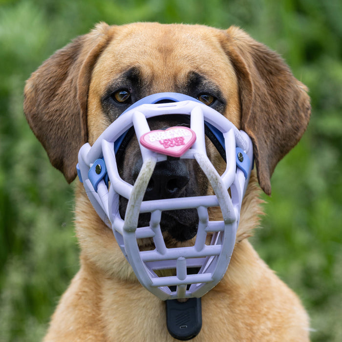 Snooties™ – Muzzled Dogs Are Loved Dogs Snootie Muzzle Charm