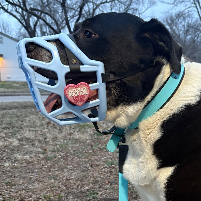Snooties™ – Muzzled Dogs Are Loved Dogs Snootie Muzzle Charm