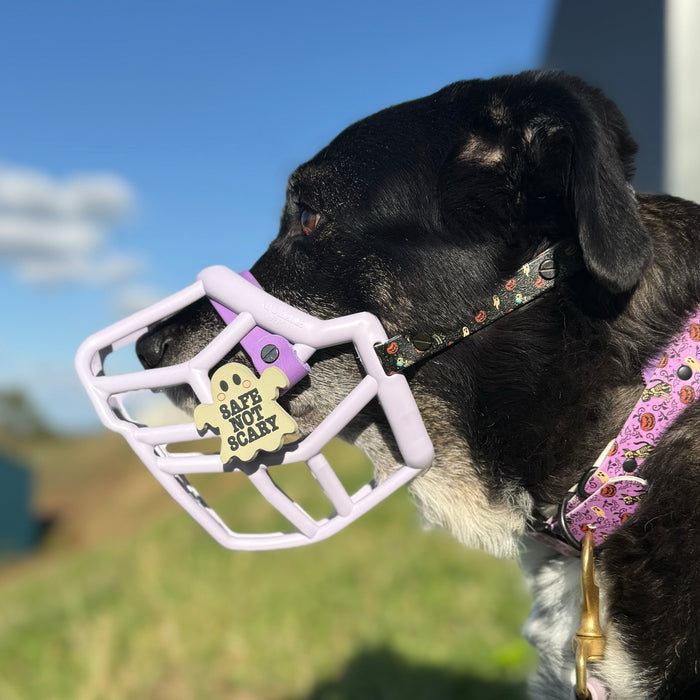 Snooties™ – Safe not Scary Muzzle Charm