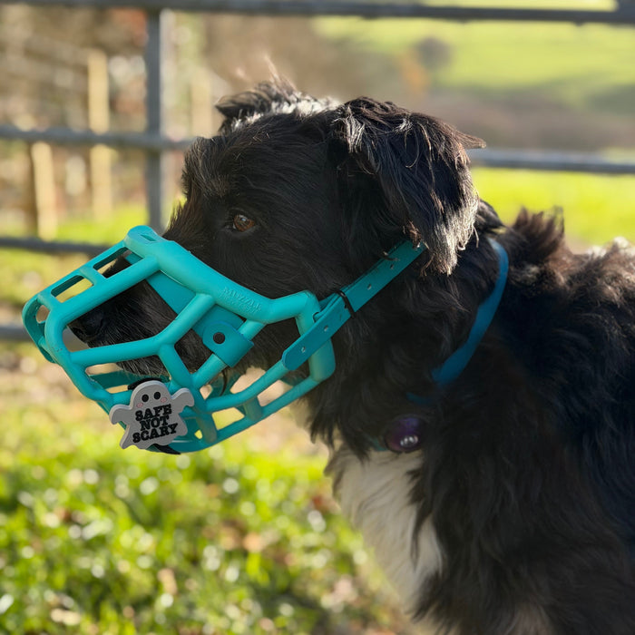 Snooties™ – Safe not Scary Muzzle Charm