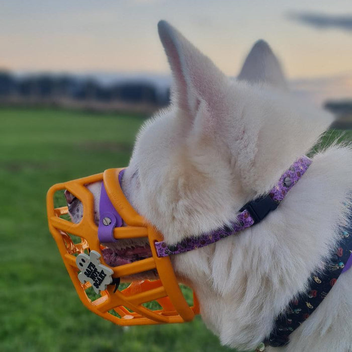 Snooties™ – Safe not Scary Muzzle Charm