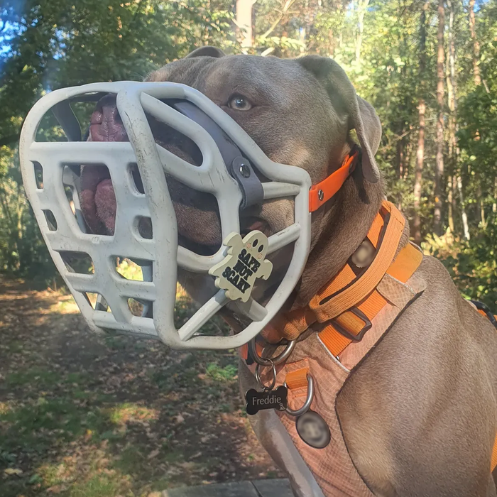 Snooties™ – Safe not Scary Muzzle Charm