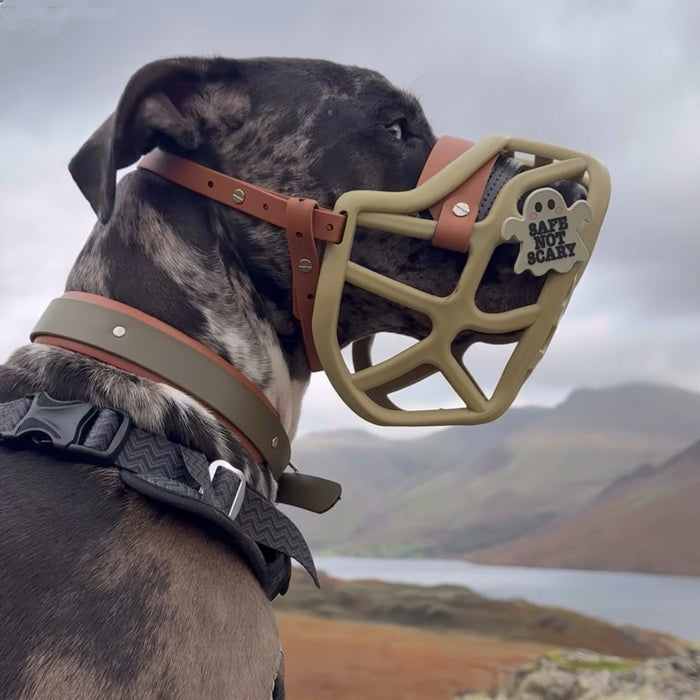 Snooties™ – Safe not Scary Muzzle Charm