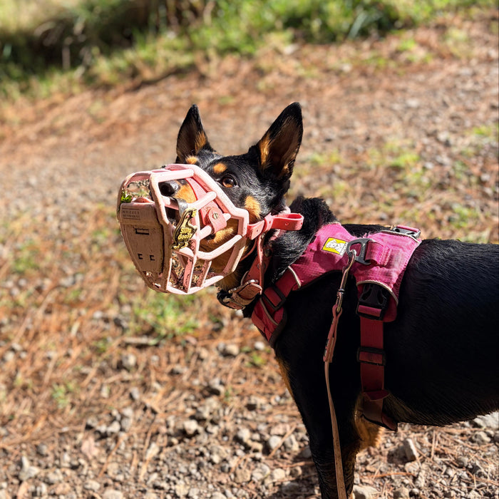 Snooties™ –  Silly Goose Snootie Muzzle Charm