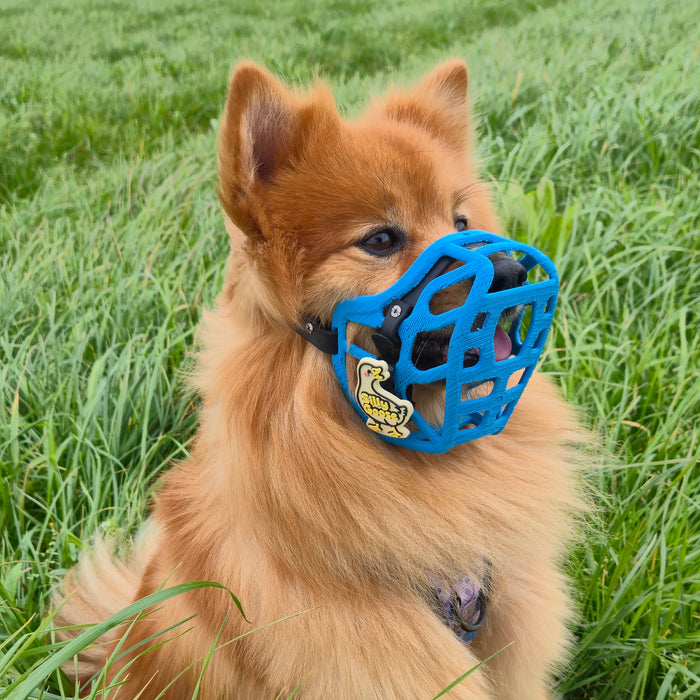 Snooties™ –  Silly Goose Snootie Muzzle Charm