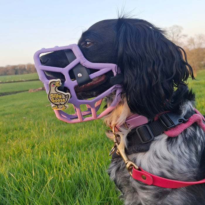 Snooties™ –  Silly Goose Snootie Muzzle Charm