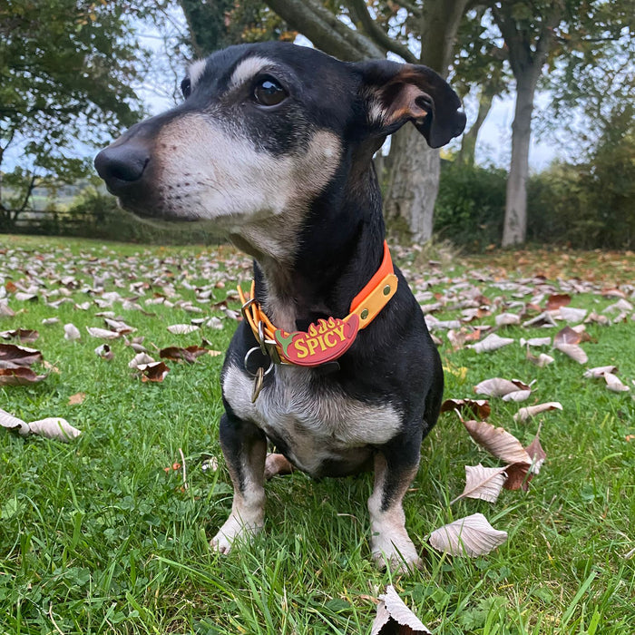 Snooties™ – Spicy Snootie Muzzle Charm
