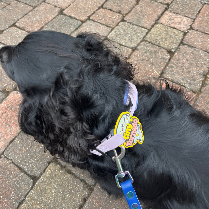 Snooties™ – Tiny Tornado Snootie Muzzle Charm