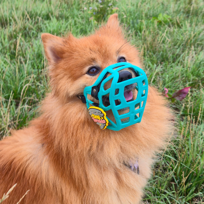 Snooties™ – Tiny Tornado Snootie Muzzle Charm