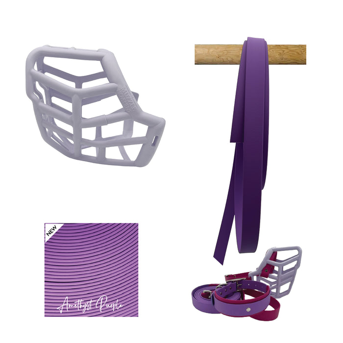 Sunny Muzzle Collar and Lead set